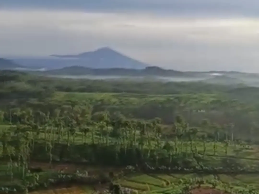 Bukit Ksatria: Surga Alam di Tengah Sawah Cilacap
